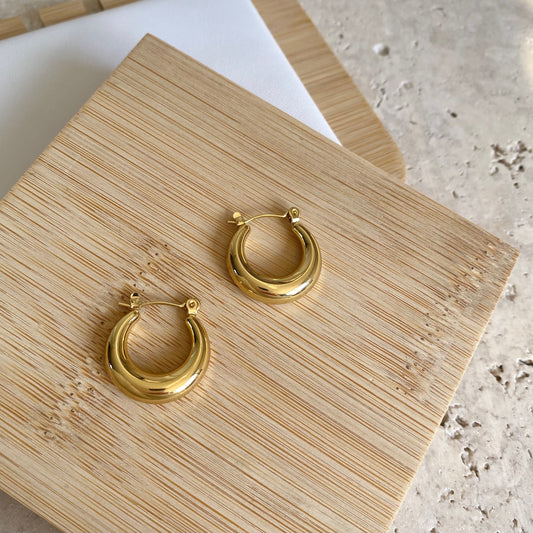 Mini Harper Hoops